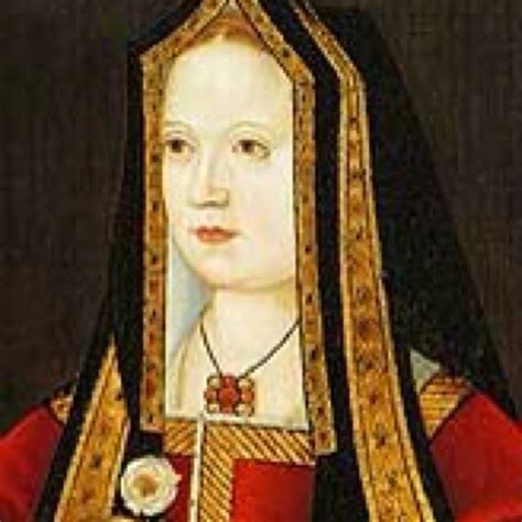 tudor shell henry|henry tudor's mother.